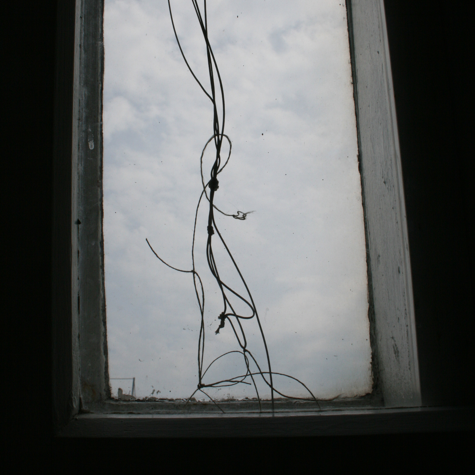 Window Cord